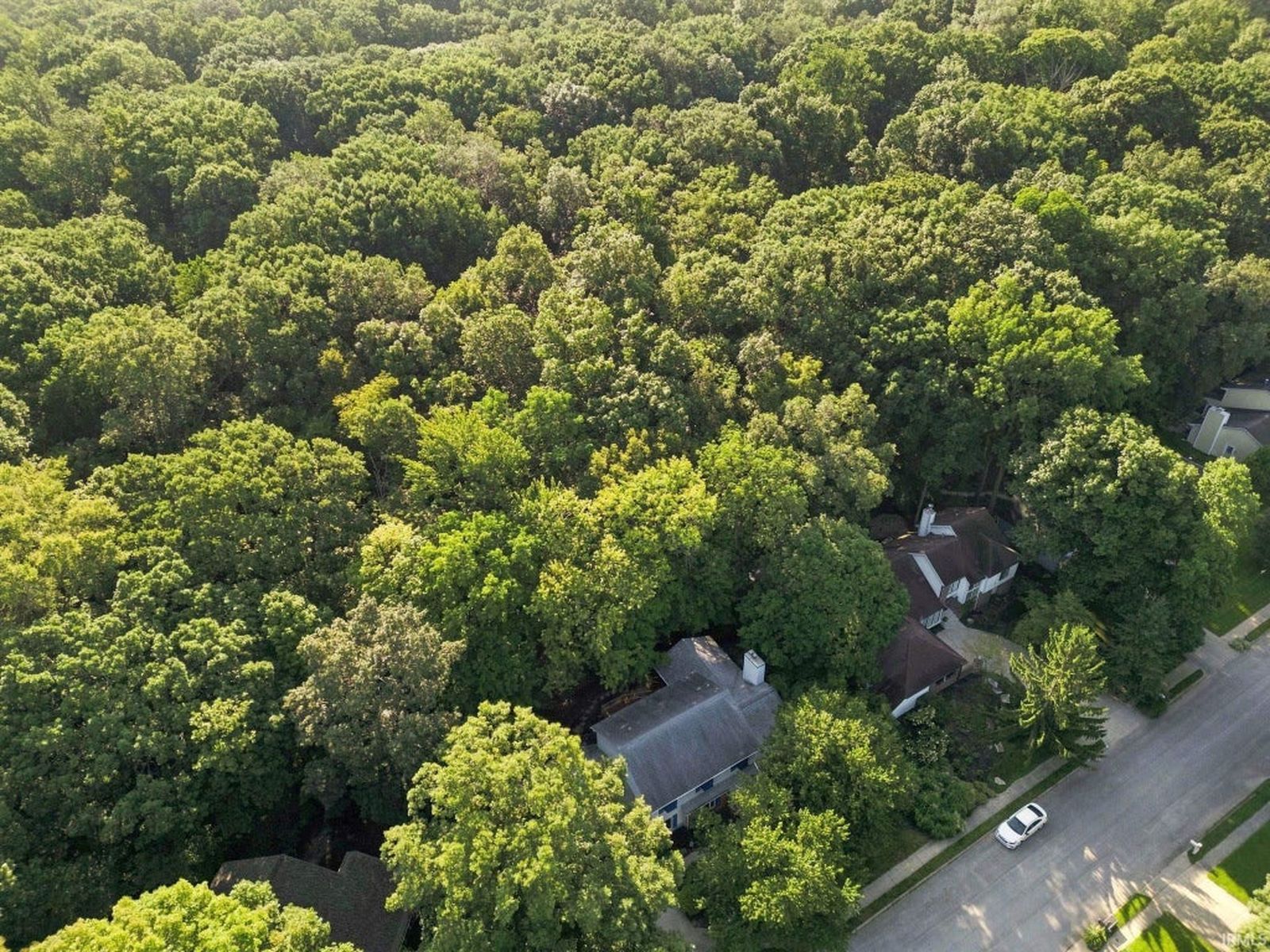 Aerial view of the home surrounded by mature trees